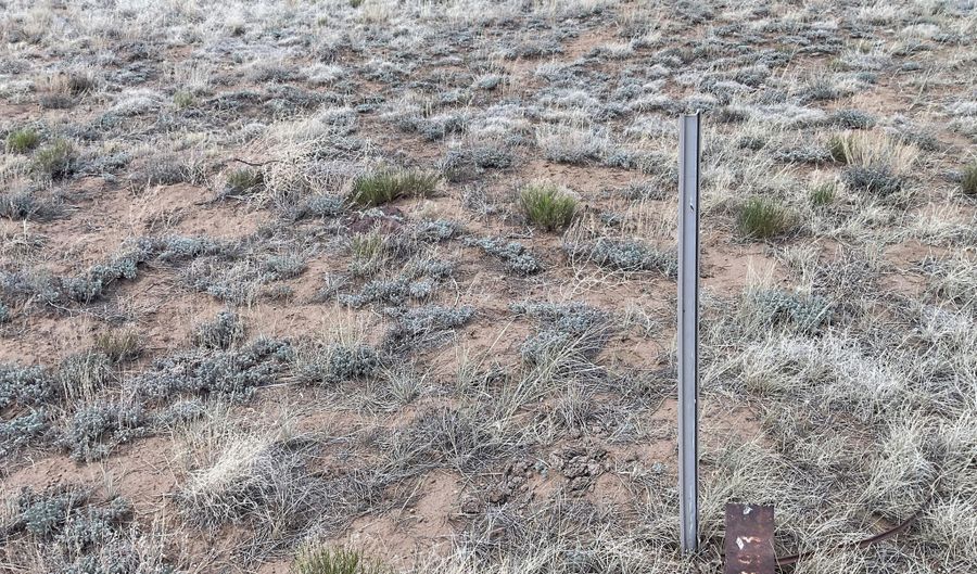 Lot 393 Country Lane, Concho, AZ 85924 - 0 Beds, 0 Bath