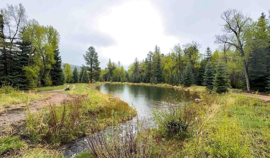 455 River Ranch Rd, Bayfield, CO 81122 - 6 Beds, 4 Bath