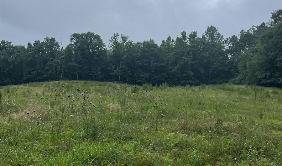 2403 Hog Jaw Rd, Arab, AL 35016 - 0 Beds, 0 Bath