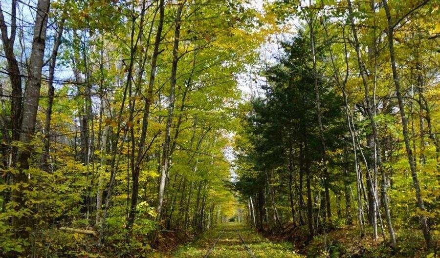 Garney Road 4, Brookfield, NH 03872 - 0 Beds, 0 Bath