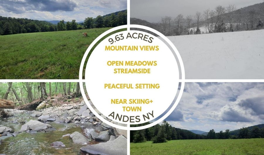 Upper Dingle Hill Road, Andes, NY 13731 - 0 Beds, 0 Bath