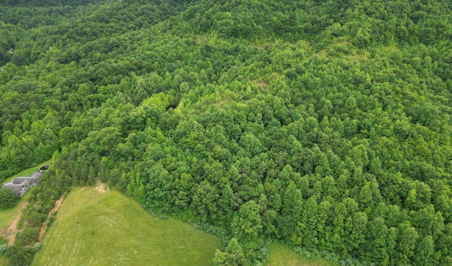 9999 King Fork Rd, Barbourville, KY 40906 - 0 Beds, 0 Bath