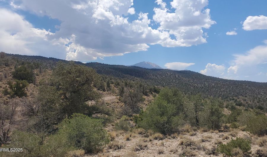 T5N R28E S5 Lucky Boy Pass Road, Hawthorne, NV 89415 - 0 Beds, 0 Bath