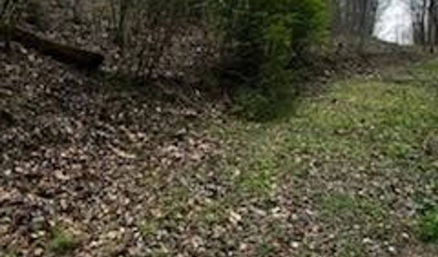 County Road 197, Athens, TN 37303 - 0 Beds, 0 Bath
