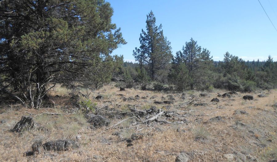 Ground Squirrel Drive, Bonanza, OR 97623 - 0 Beds, 0 Bath