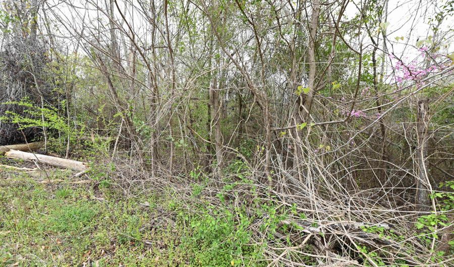 11 Th Ave, Alexander City, AL 35010 - 0 Beds, 0 Bath