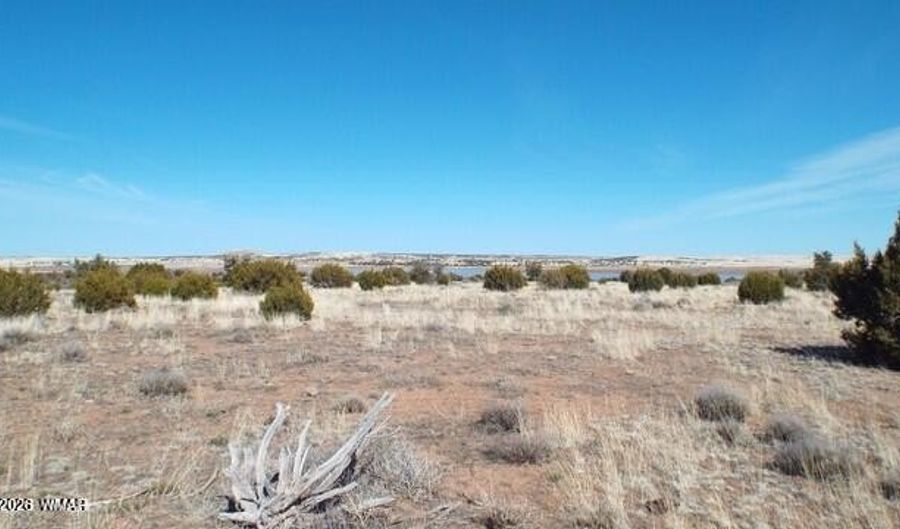 Parcel 107-52-046, Concho, AZ 85924 - 0 Beds, 0 Bath