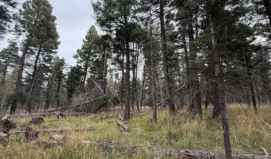 Cheerful Way lot 1469, Angel Fire, NM 87710 - 0 Beds, 0 Bath