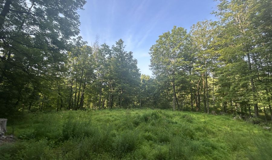 393 County Rte 2, Accord, NY 12404 - 0 Beds, 0 Bath