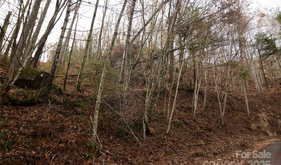 Green Ridge Falls Road, Barnardsville, NC 28709 - 0 Beds, 0 Bath