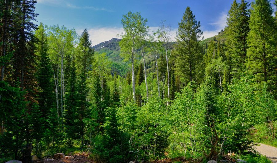 9380 E Kessler View Ln, Brighton, UT 84121 - 0 Beds, 0 Bath