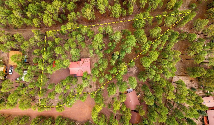 4 County Road 2089, Alpine, AZ 85920 - 3 Beds, 2 Bath