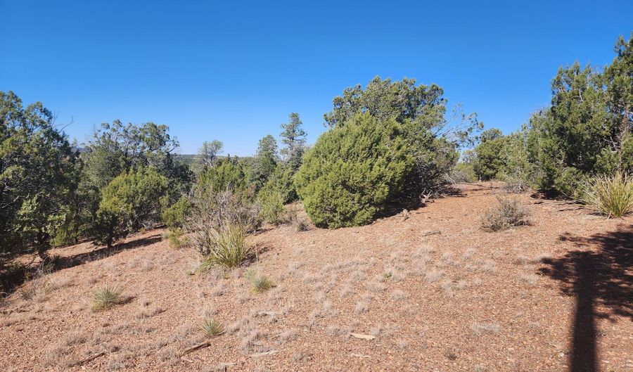Tbd State Route 260, Clay Springs, AZ 85923 - 0 Beds, 0 Bath