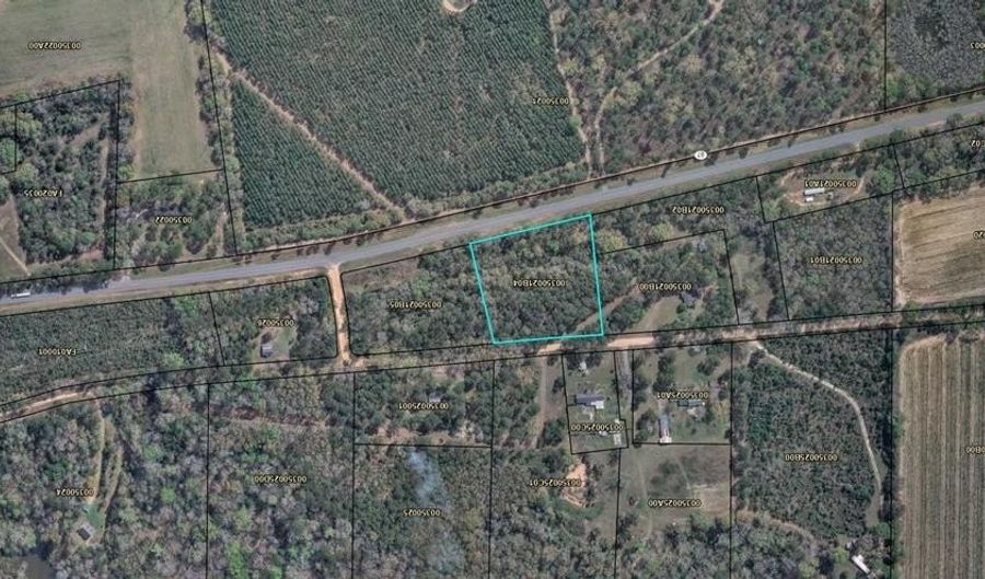 Old Faceville Rd lot # 4, Bainbridge, GA 39819 - 0 Beds, 0 Bath