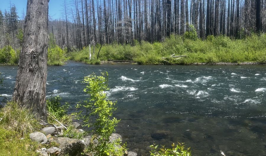 52984 MCKENZIE Hwy, Blue River, OR 97413 - 0 Beds, 0 Bath
