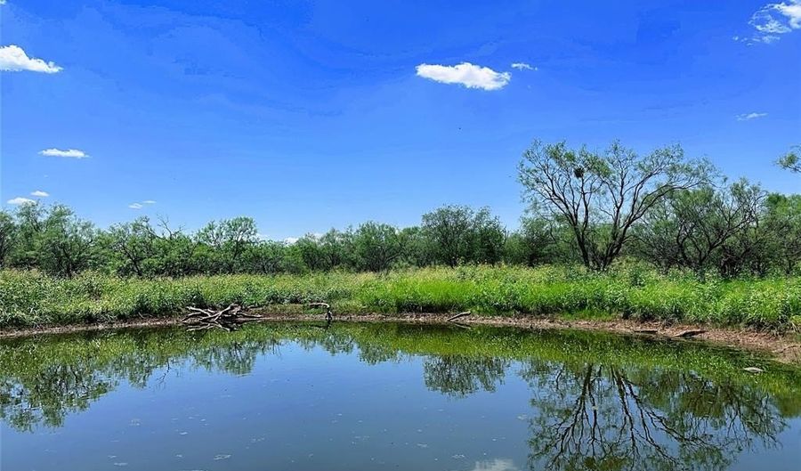 12415 County Road 356, Anson, TX 79501 - 0 Beds, 0 Bath