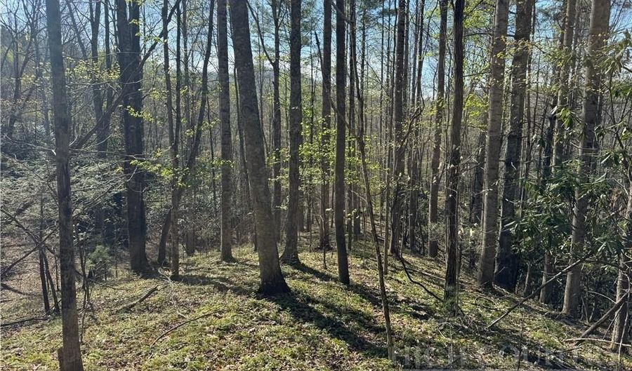2438 Kellersville Rd, Banner Elk, NC 28604 - 0 Beds, 0 Bath