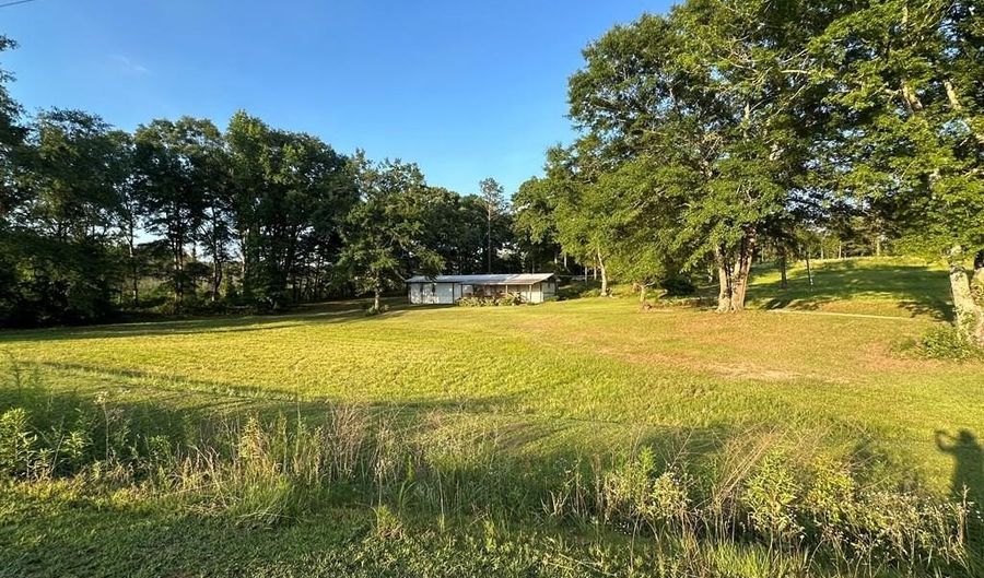 6424 County Rd 57 N, Abbeville, AL 36310 - 3 Beds, 2 Bath