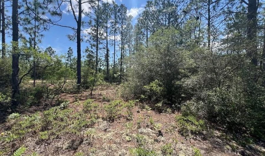 3974 NW Joy Ln, Altha, FL 32421 - 0 Beds, 0 Bath