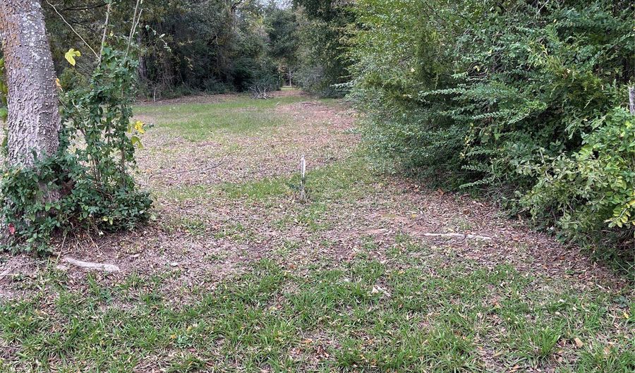 CR 2940, Alba, TX 75410 - 0 Beds, 0 Bath