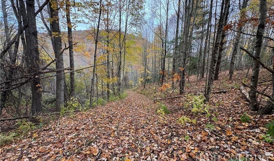 Rominger Road, Banner Elk, NC 28604 - 0 Beds, 0 Bath