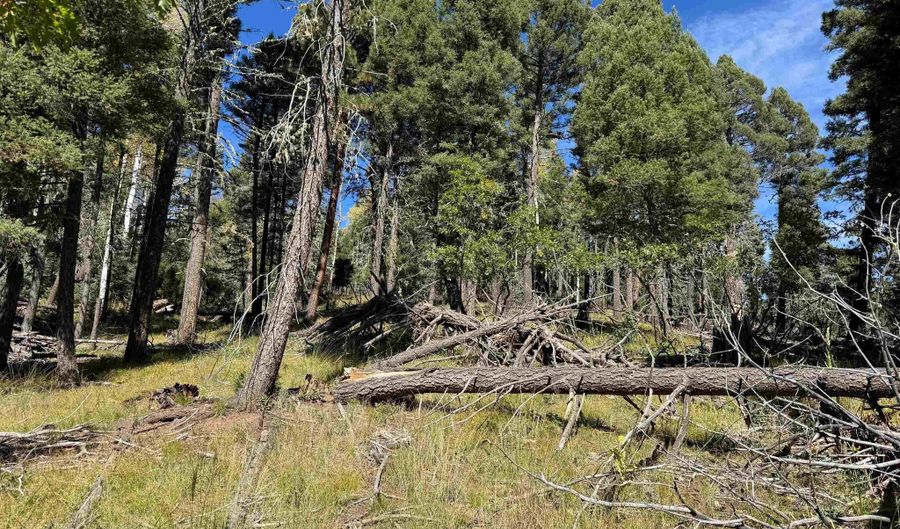 Calle de los Indios lot 101, Angel Fire, NM 87710 - 0 Beds, 0 Bath