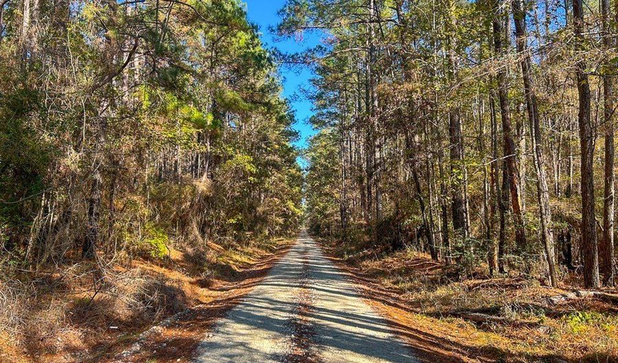527 Forest Service Rd, Apple Springs, TX 75926 - 0 Beds, 0 Bath
