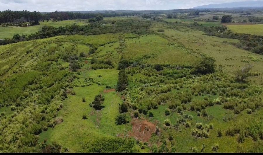 1-3 PRIVATE Rd, Hakalau, HI 96710 - 0 Beds, 0 Bath