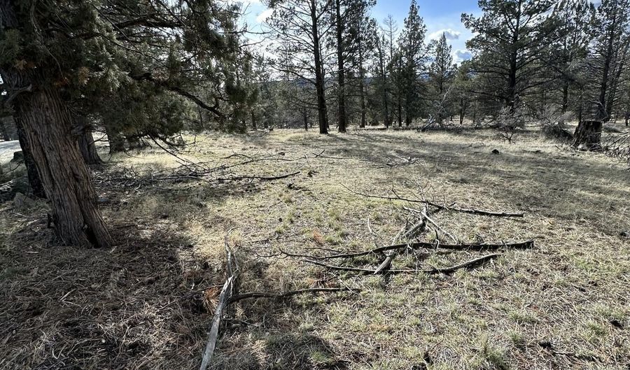 Widgeon Drive lot 3, Bonanza, OR 97623 - 0 Beds, 0 Bath