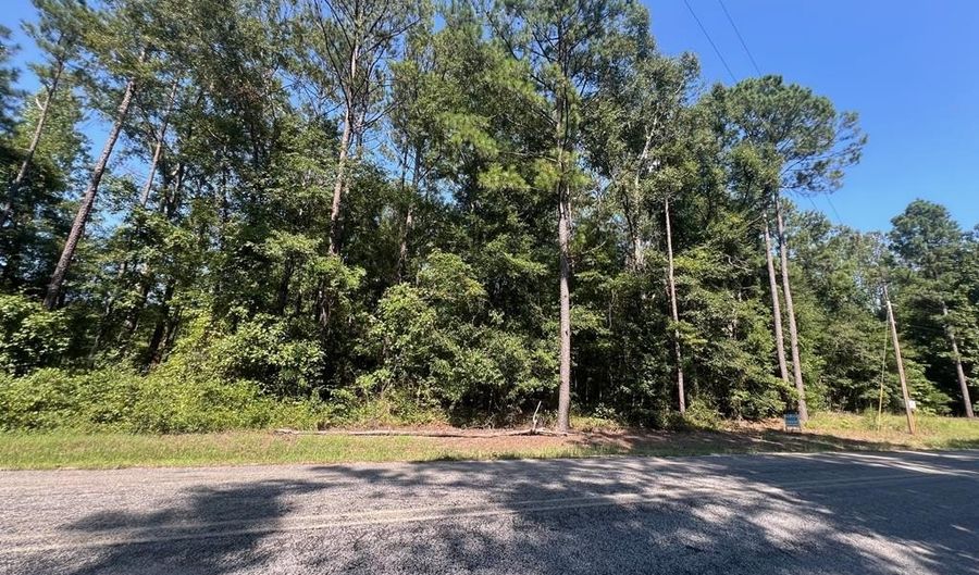 203 Pebble Cove Rd, Abbeville, AL 36310 - 0 Beds, 0 Bath