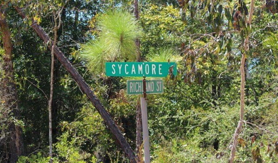 Sycamore Street, Alford, FL 32420 - 0 Beds, 0 Bath