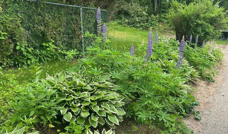 28 Washington Ave, Bartlett, NH 03845 - 3 Beds, 2 Bath