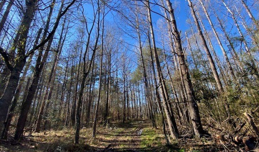TBD Bogue Chitto Road SW, Bogue Chitto, MS 39629 - 0 Beds, 0 Bath