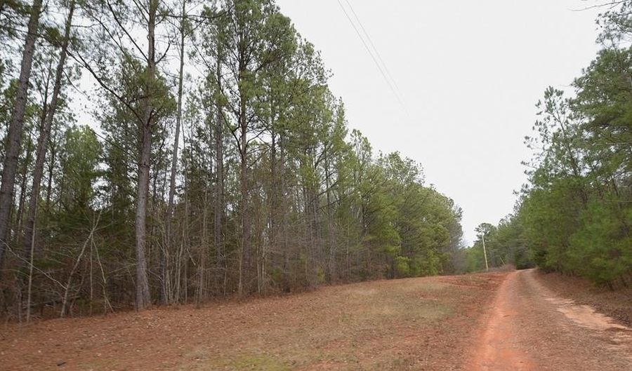 Long Cane Ame Rd, Abbeville, SC 29620 - 0 Beds, 0 Bath