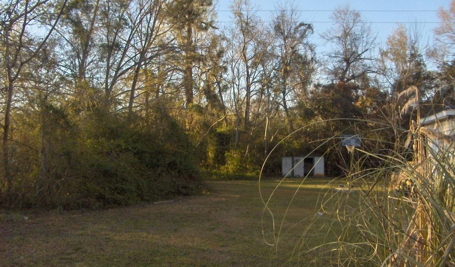 Georgia Avenue, Barnwell, SC 29812 - 0 Beds, 0 Bath