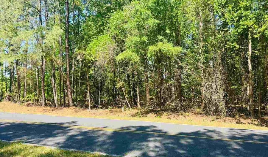 Grants Mill Rd W, Bennettsville, SC 29512 - 0 Beds, 0 Bath