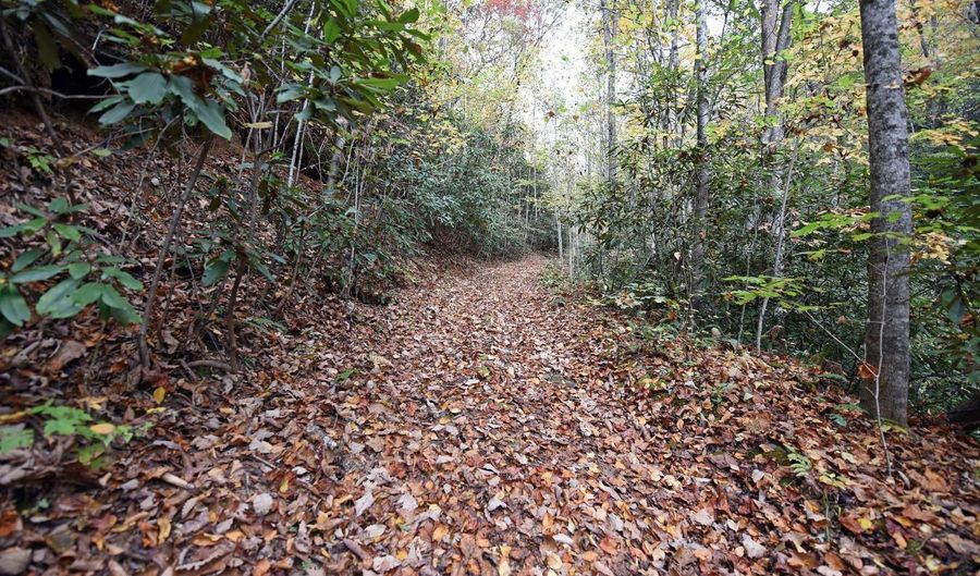 Tbd McLean Road, Andrews, NC 28901 - 0 Beds, 0 Bath