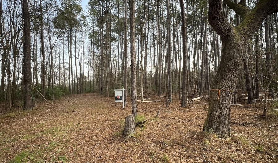 0 Ashe Brown Rd, Adams Run, SC 29426 - 0 Beds, 0 Bath