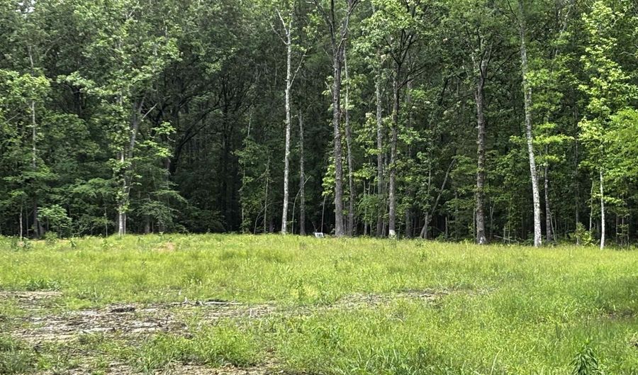 00 Gold Hill Rd, Atkins, AR 72823 - 0 Beds, 0 Bath