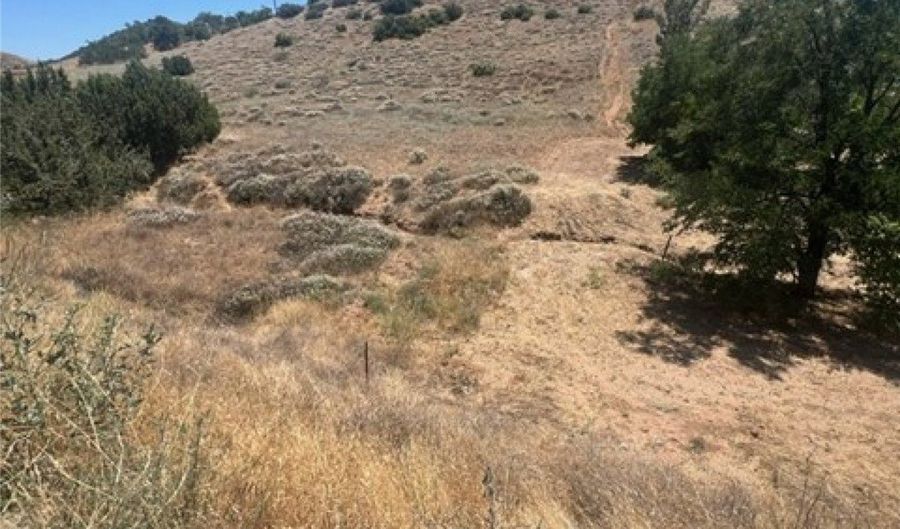 Sierra, Acton, CA 93510 - 0 Beds, 0 Bath