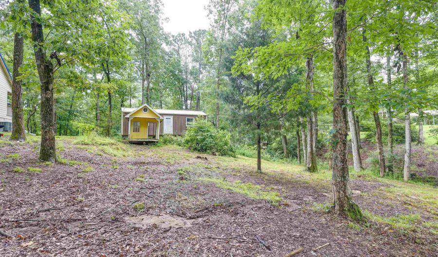 219 County Road 221, Arley, AL 35541 - 0 Beds, 0 Bath