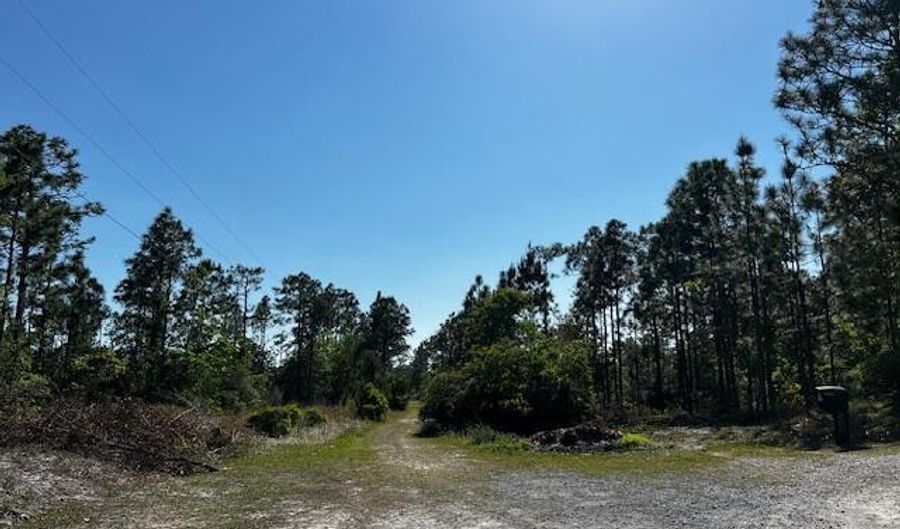 Lot 81 Trevino Road, Boiling Spring Lakes, NC 28461 - 0 Beds, 0 Bath