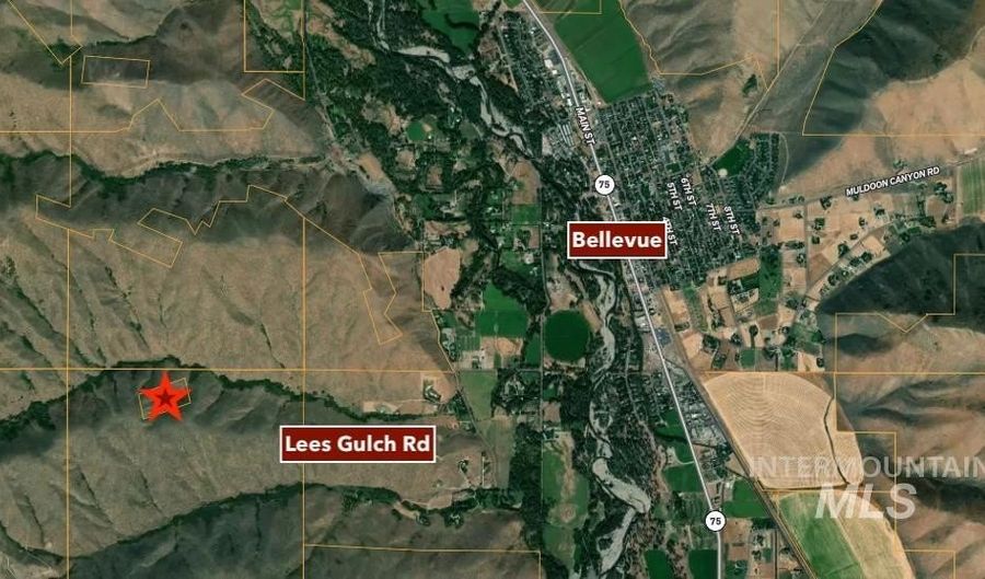 Tbd Lees Gulch Rd, Bellevue, ID 83313 - 0 Beds, 0 Bath
