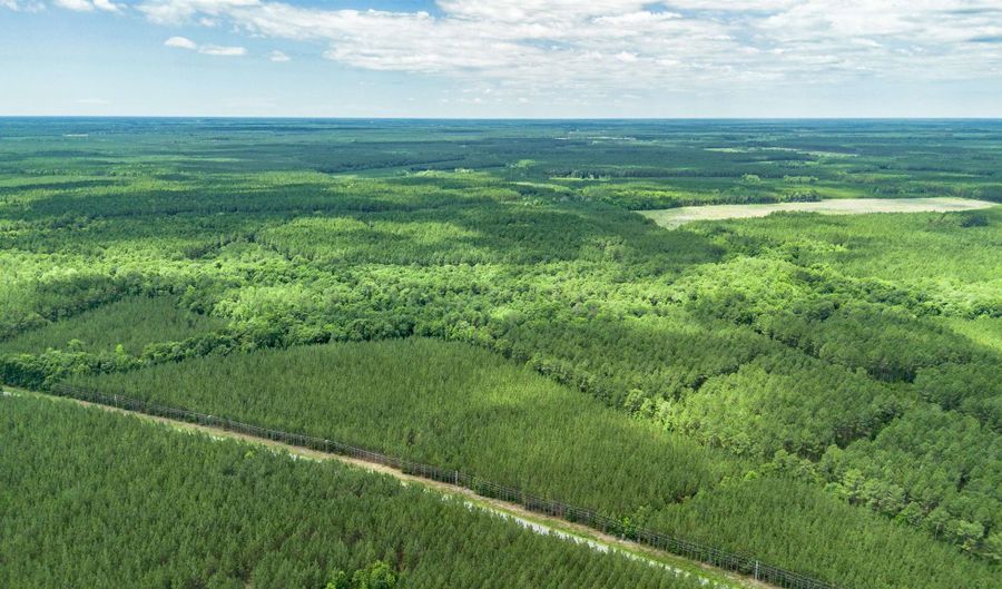 Tract C Ten Acre Rd, Andrews, SC 29510 - 0 Beds, 0 Bath
