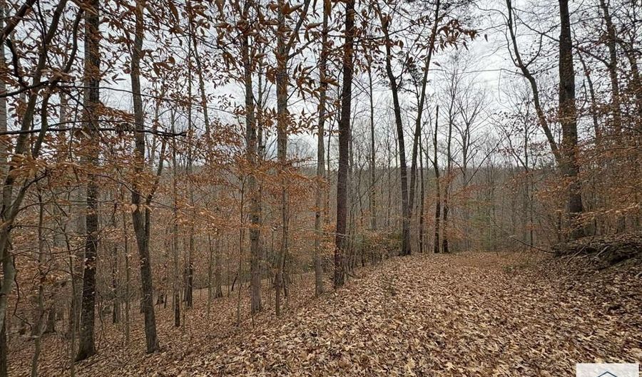 Pine Valley Dr, Bassett, VA 24055 - 0 Beds, 0 Bath