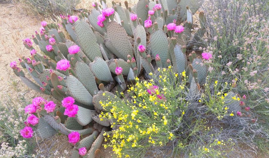 606 D S Billy The Kid Rd, Yucca, AZ 86438 - 0 Beds, 0 Bath
