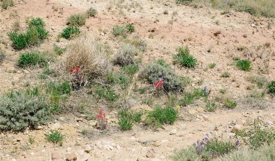 COS 947 Tract 11, Belfry, MT 59008 - 0 Beds, 0 Bath