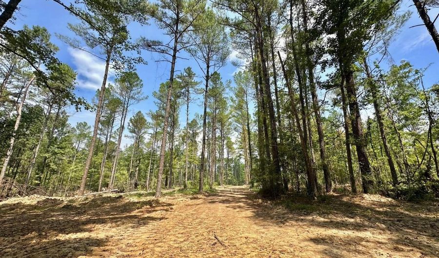 1 Champion Hill Rd, Bolton, MS 39041 - 0 Beds, 0 Bath