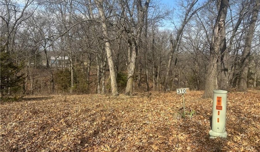 Lot 3109 Lake Viking Terrace, Altamont, MO 64620 - 0 Beds, 0 Bath