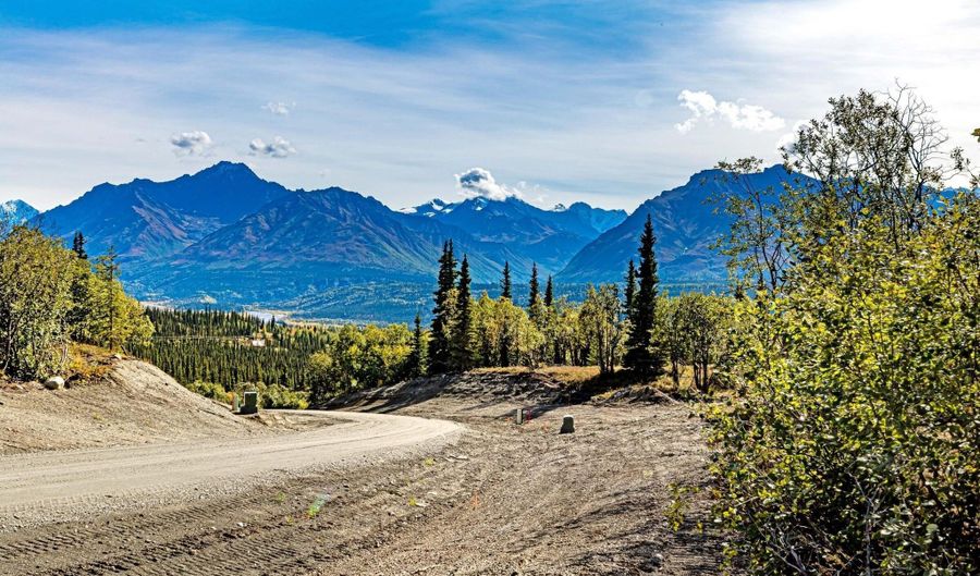 63270 S Red Rooster Rd, Chickaloon, AK 99674 - 0 Beds, 0 Bath